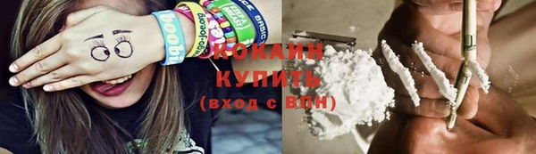 крисы Осинники