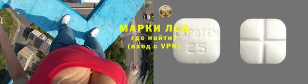 крисы Осинники
