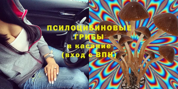 тгк Переславль-Залесский