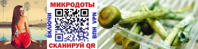 Купить где  Зерноград  Галлюциногенные грибы мухоморы 