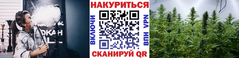 Купить закладки Зерноград Каннабис планчик